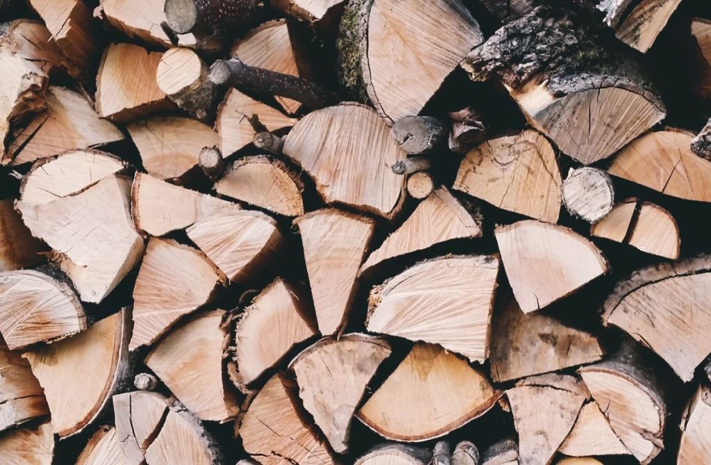 2024 – The year of the ‘Constant&nbsp;Wood’